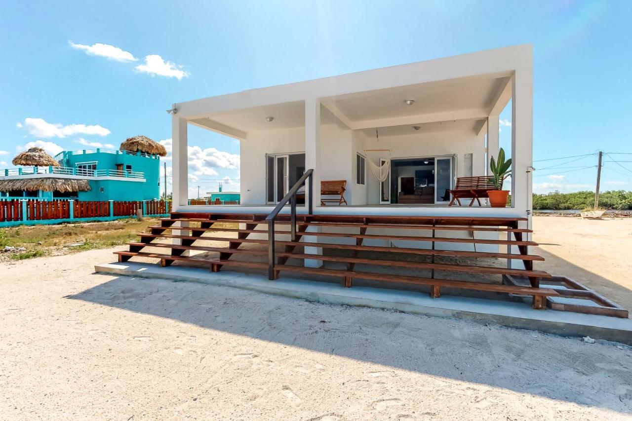 Jackson'S Paradiso Gold Standard Certified San Pedro  Esterno foto